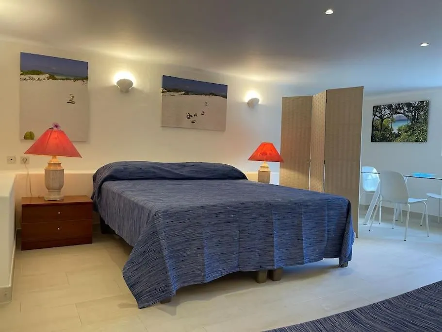 Studio With Private Swimming Pool And Garden Cascais Apartment