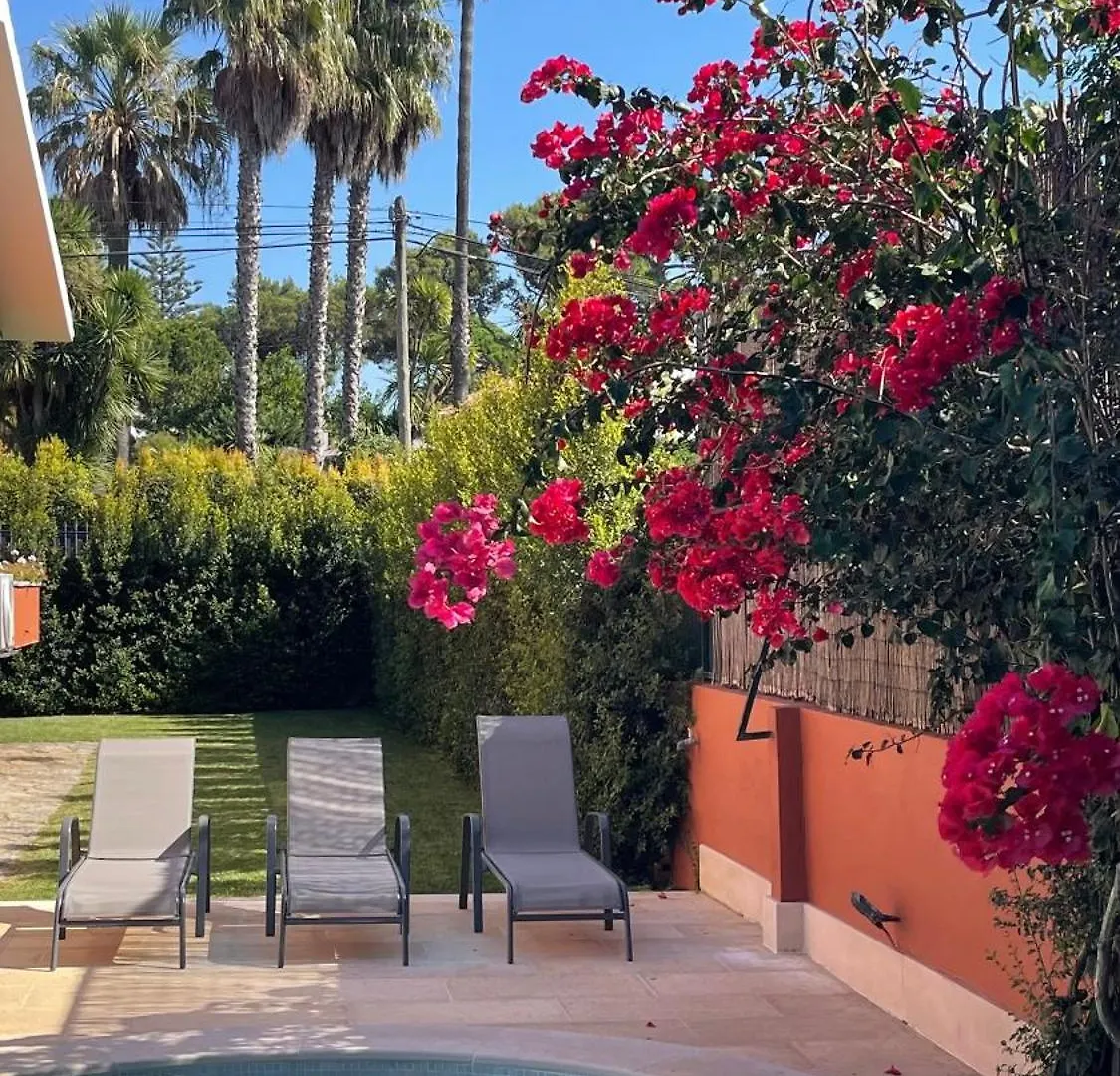 Studio With Private Swimming Pool And Garden Cascais Apartment